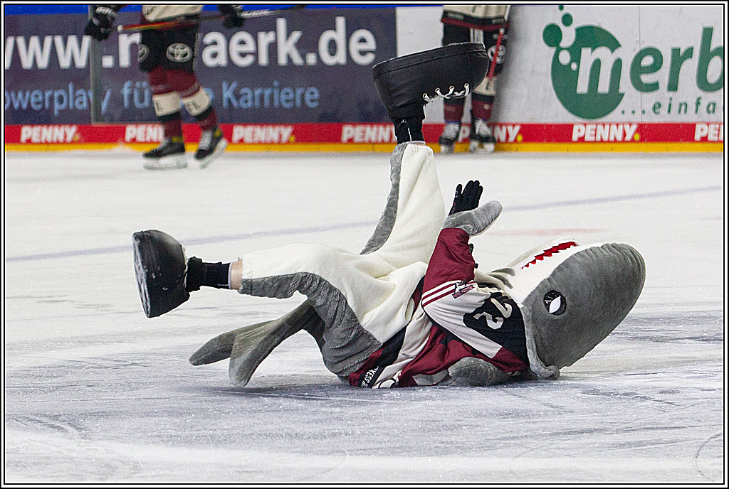 PENNY DEL;  Koelner Haie - Eisbaeren Berlin; Koeln, 10.03.2021
